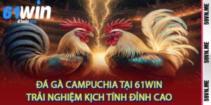Đá Gà Campuchia