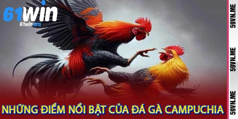 Đá Gà Campuchia